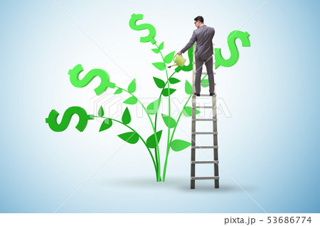 Money tree concept with businessman watering  53686774