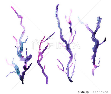 Set of watercolor seaweed Set of watercolor seaweed 53687928
