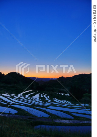 大山千枚田の夜明け 大山千枚田の夜明け 53688288
