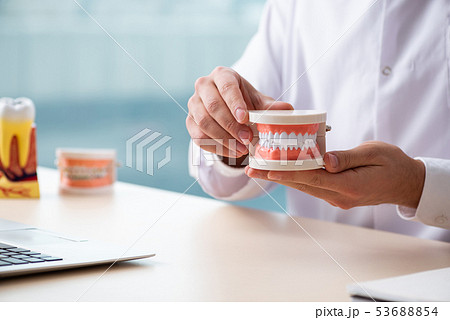 Male doctor stomatologist working in the clinic Male doctor stomatologist working in the clinic 53688854