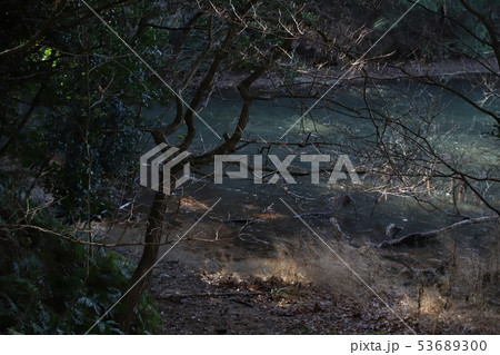 白水大池公園01 白水大池公園01 53689300