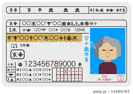 優秀な女性高齢ドライバーの運転免許証のサンプルイメージのイラスト素材