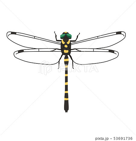 50 素晴らしい蜻蛉 イラスト 最高の動物画像