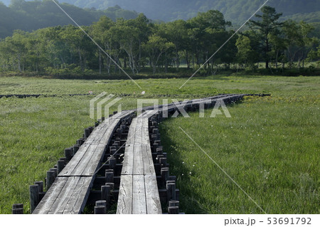 [定額] 初夏の早朝の尾瀬ヶ原の風景 53691792