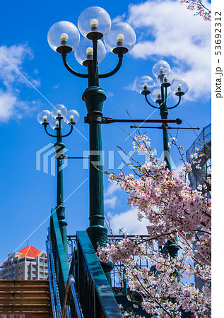 宝塚・桜の咲く花のみちの歩道橋 宝塚・桜の咲く花のみちの歩道橋 53692312