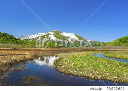 水芭蕉と水に映る至仏山4 水芭蕉と水に映る至仏山4 53692601