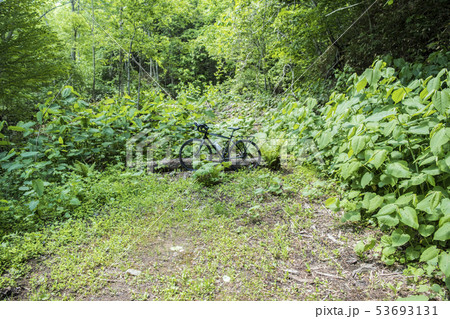 グラベルロード 53693131