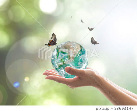 World environment day environmental eco friendly World environment day environmental eco friendly 53693147