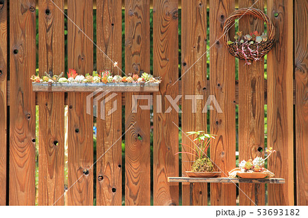 板壁に飾られた多肉植物 53693182