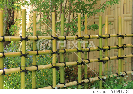 竹垣のある庭 53693230