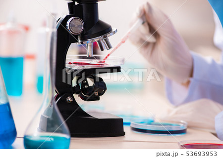Young female chemist working in the lab  53693953