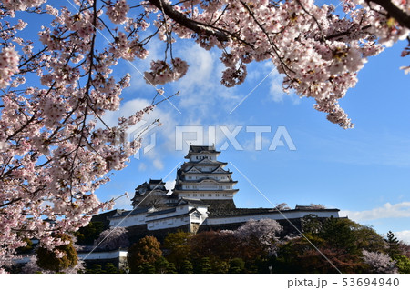 日本の兵庫県の姫路市 世界遺産の姫路城 美しい満開の桜と青空と天守閣 日本の兵庫県の姫路市 世界遺産の姫路城 美しい満開の桜と青空と天守閣 53694940