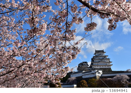 日本の兵庫県の姫路市 世界遺産の姫路城 美しい満開の桜と青空と天守閣 日本の兵庫県の姫路市 世界遺産の姫路城 美しい満開の桜と青空と天守閣 53694941