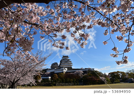 日本の兵庫県の姫路市 世界遺産の姫路城 美しい満開の桜と青空と天守閣 日本の兵庫県の姫路市 世界遺産の姫路城 美しい満開の桜と青空と天守閣 53694950