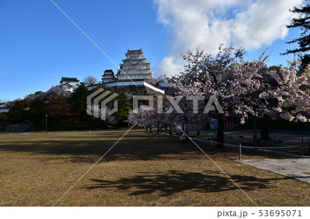日本の兵庫県の姫路市　世界遺産の姫路城　美しい満開の桜と青空と天守閣 53695071