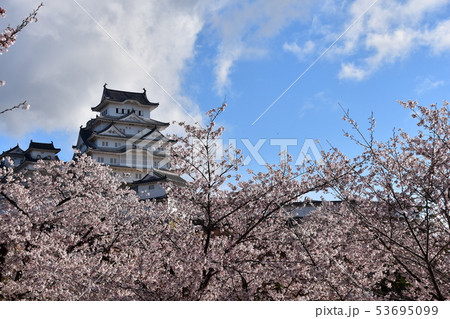 日本の兵庫県の姫路市 世界遺産の姫路城 美しい満開の桜と青空と天守閣 日本の兵庫県の姫路市 世界遺産の姫路城 美しい満開の桜と青空と天守閣 53695099