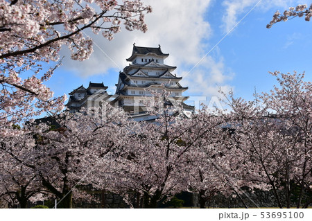 日本の兵庫県の姫路市 世界遺産の姫路城 美しい満開の桜と青空と天守閣 日本の兵庫県の姫路市 世界遺産の姫路城 美しい満開の桜と青空と天守閣 53695100