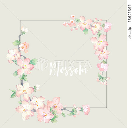 花 フラワー お花 53695366