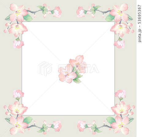 花 フラワー お花 53695367