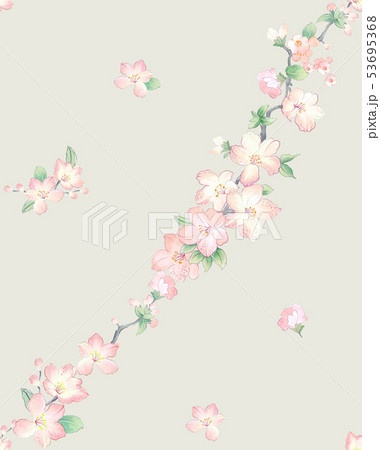 花 フラワー お花 53695368