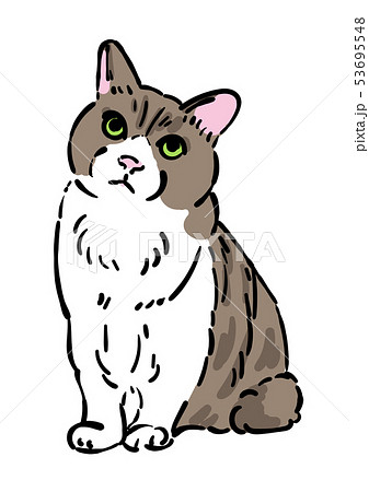 猫のイラスト素材