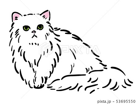 ペルシャ猫のイラスト素材 53695550 Pixta