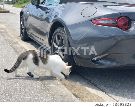 Miata ND touring in Okinawa  53695828
