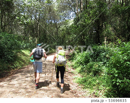 キリマンジャロ　登山　歩く男女 53696635