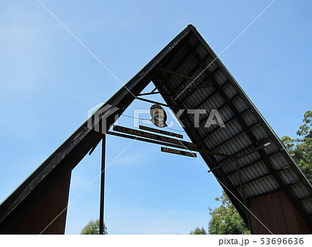 キリマンジャロ　登山　マチャメゲート 53696636