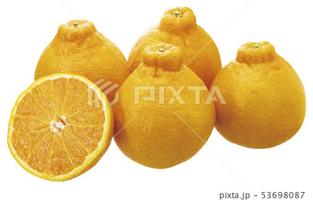 デコポン(パス付)05 デコポン(パス付)05 53698087