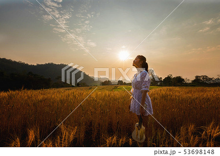 Asian woman with ukulele in barley field at sunset Asian woman with ukulele in barley field at sunset 53698148