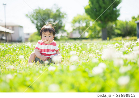 芝生で遊ぶ赤ちゃん 芝生で遊ぶ赤ちゃん 53698915