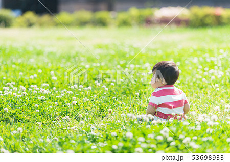 芝生で遊ぶ赤ちゃん 後ろ姿の写真素材