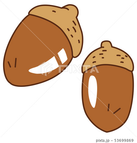 ドングリ 53699869