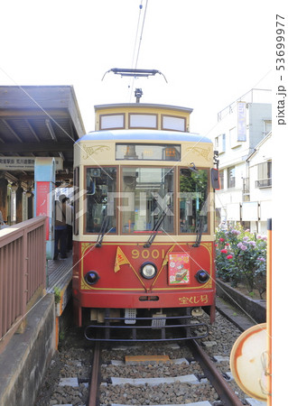 都電荒川線　三ノ輪橋駅のバラ号 53699977