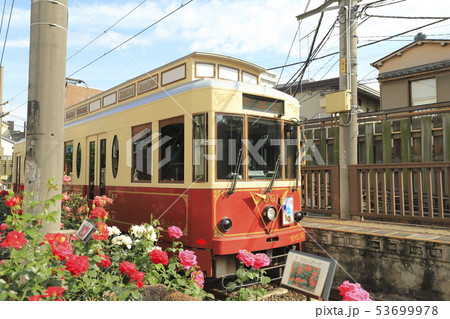 都電荒川線 三ノ輪橋駅のバラ号 都電荒川線 三ノ輪橋駅のバラ号 53699978