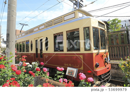 都電荒川線　三ノ輪橋駅のバラ号 53699979