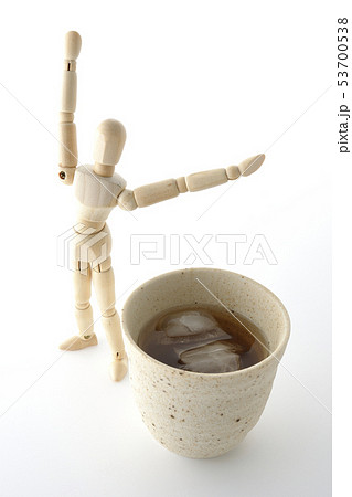 トクホのお茶 トクホのお茶 53700538