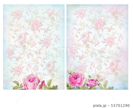 Shabby chic backgrounds with roses. 53701290