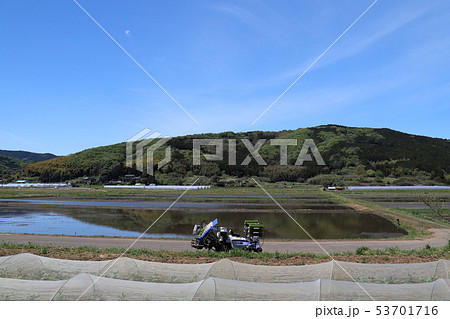 春の田園風景 53701716
