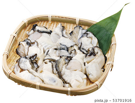 牡蠣（パス付）04 53701916