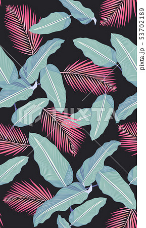 Seamless pattern tropical leaves on black 53702189