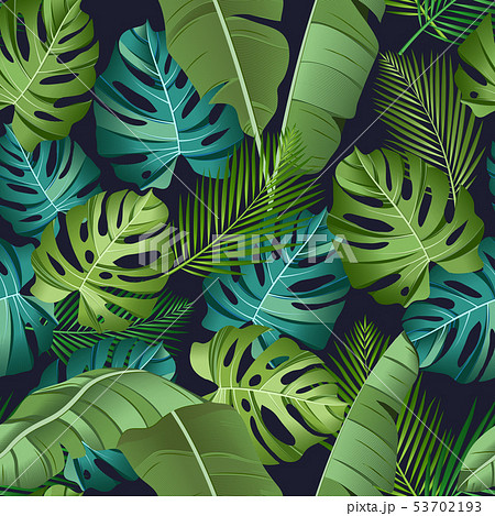 Seamless pattern with tropical leaves 53702193