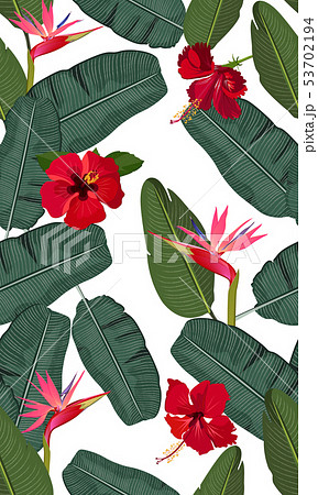 Seamless vector pattern banana leaves with red Seamless vector pattern banana leaves with red 53702194