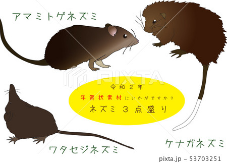南国奄美のねずみ３点盛りのイラスト素材