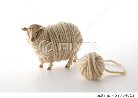 羊 53704613