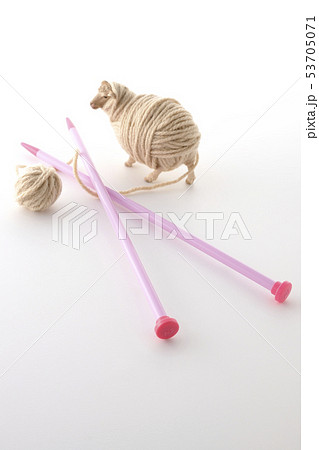 羊 羊 53705071
