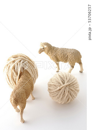 頭隠して尻隠さず 頭隠して尻隠さず 53706257