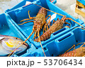 Container with catch sea delicacies lobster Blanes 53706434