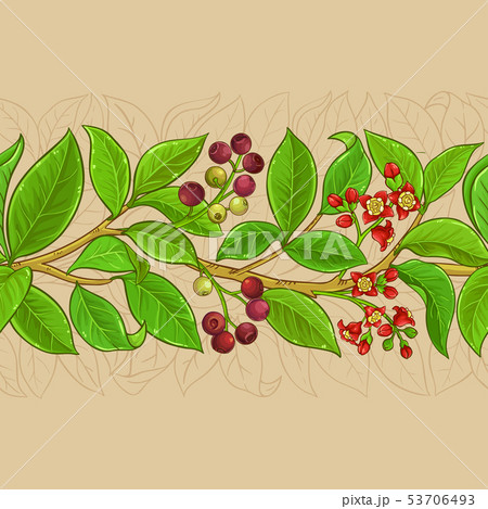 sandalwood vector pattern sandalwood vector pattern 53706493